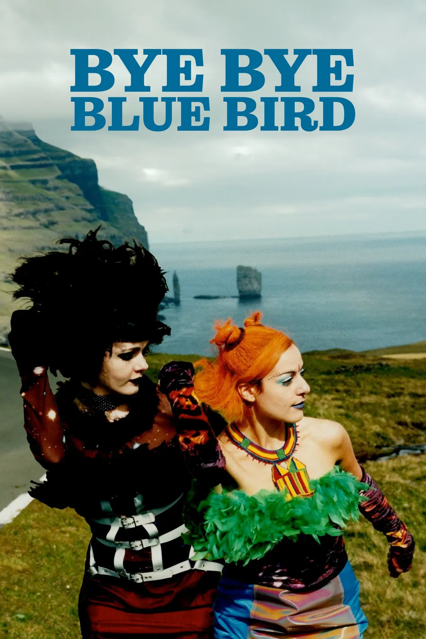 Poster of the movie Bye Bye Blue Bird