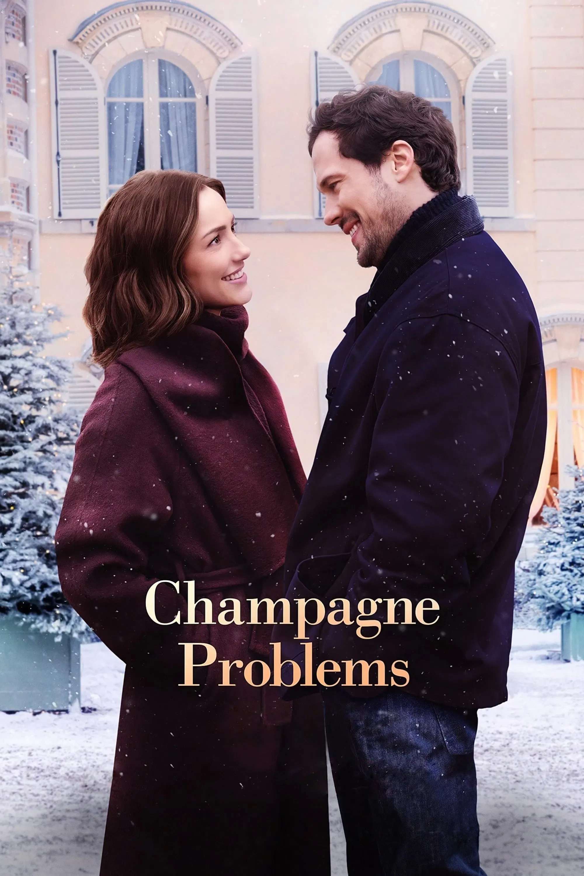 Poster of the movie Champagne Problems