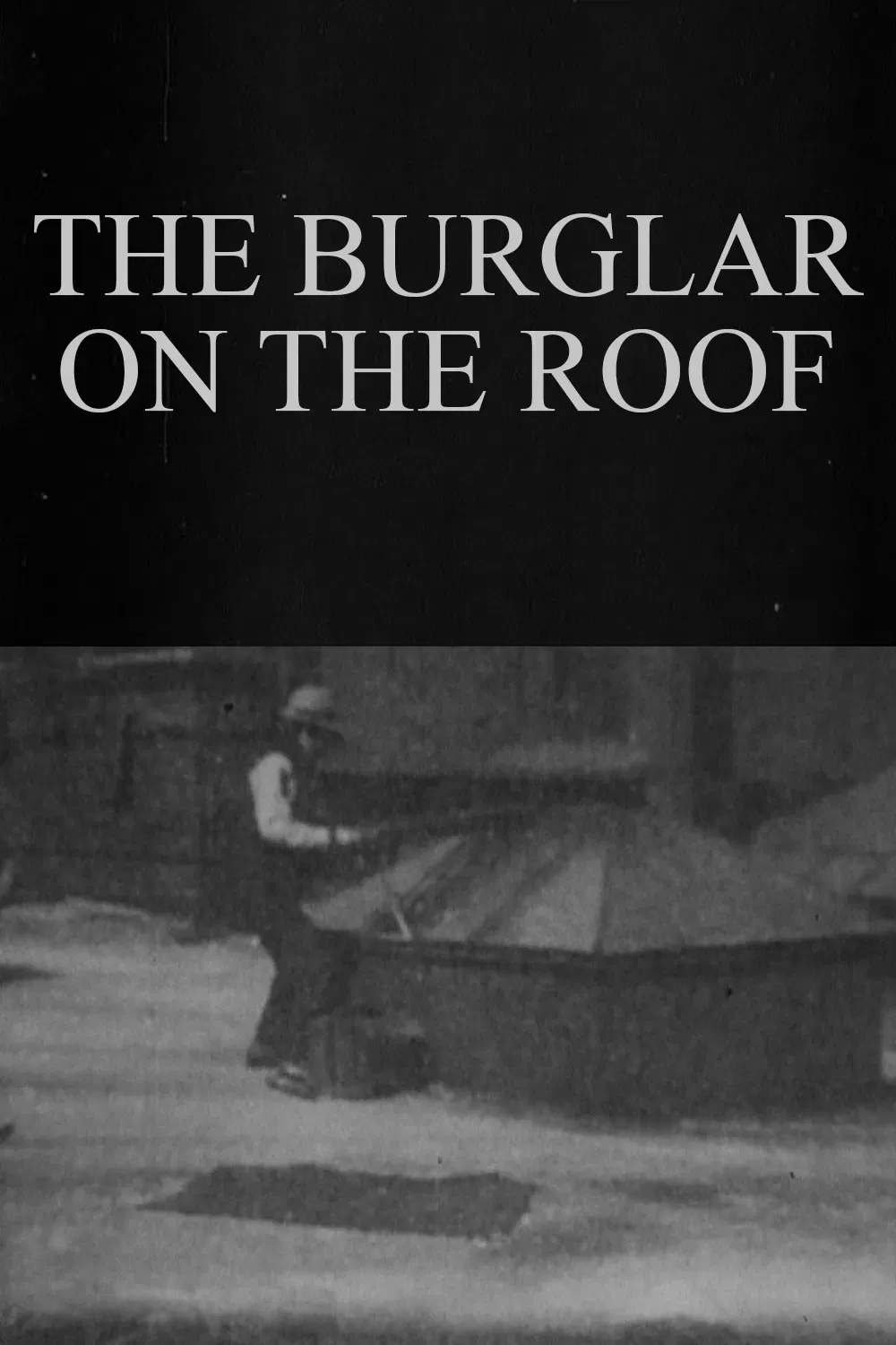 Poster of the movie The Burglar on the Roof