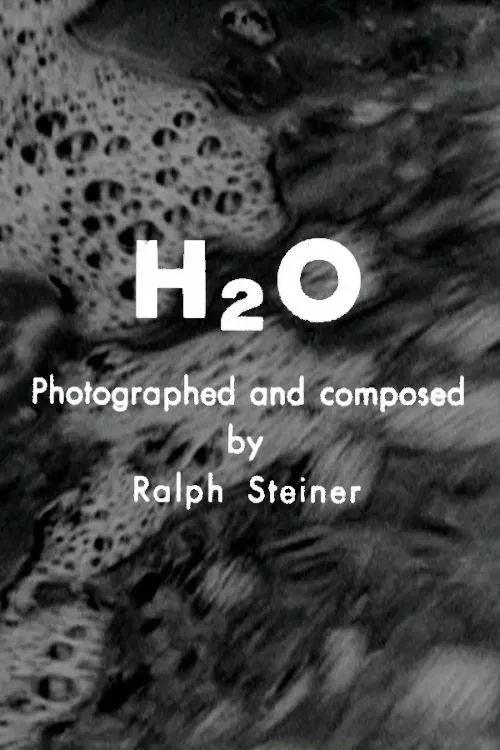 Poster of the movie H₂O