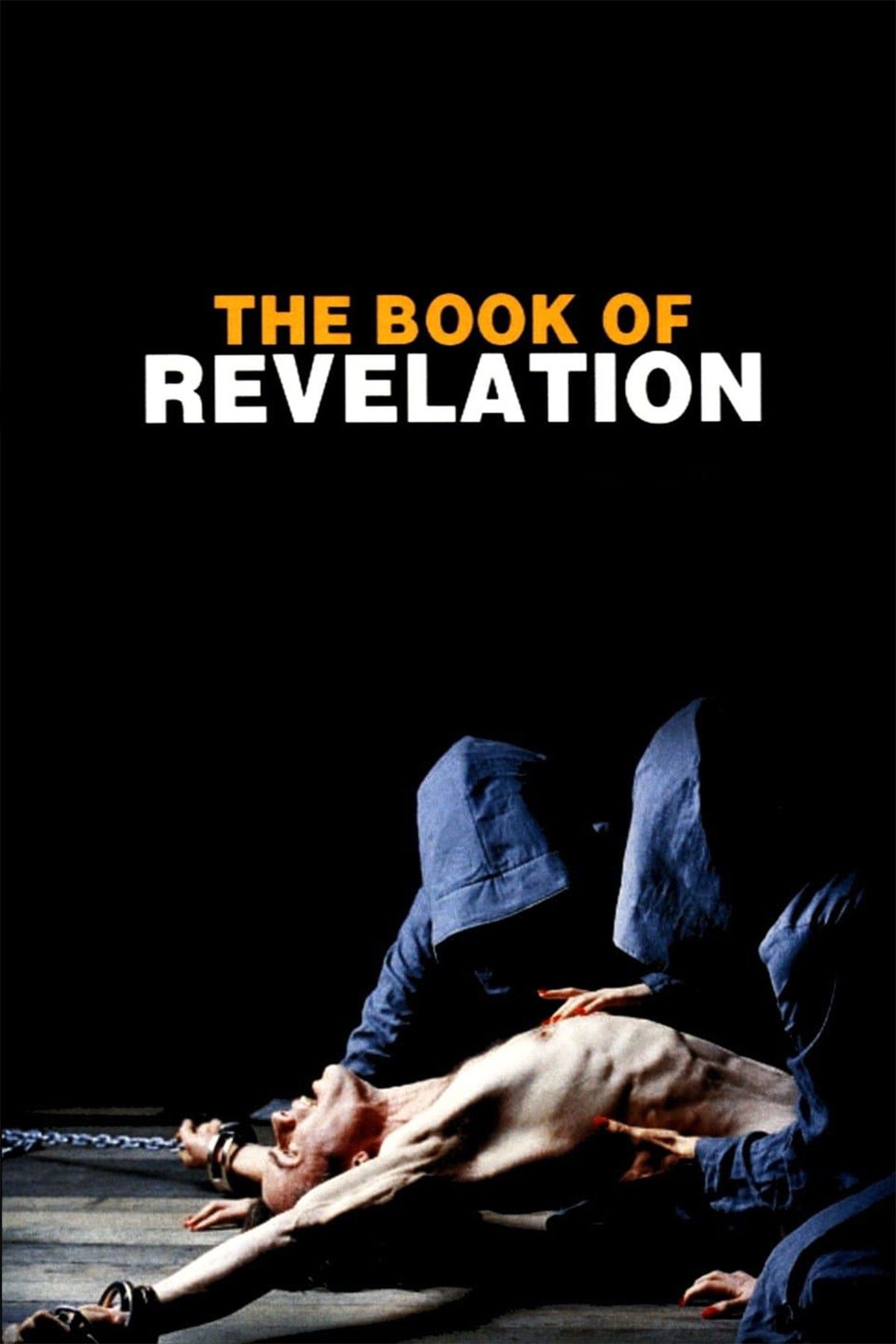 Poster of the movie The Book of Revelation