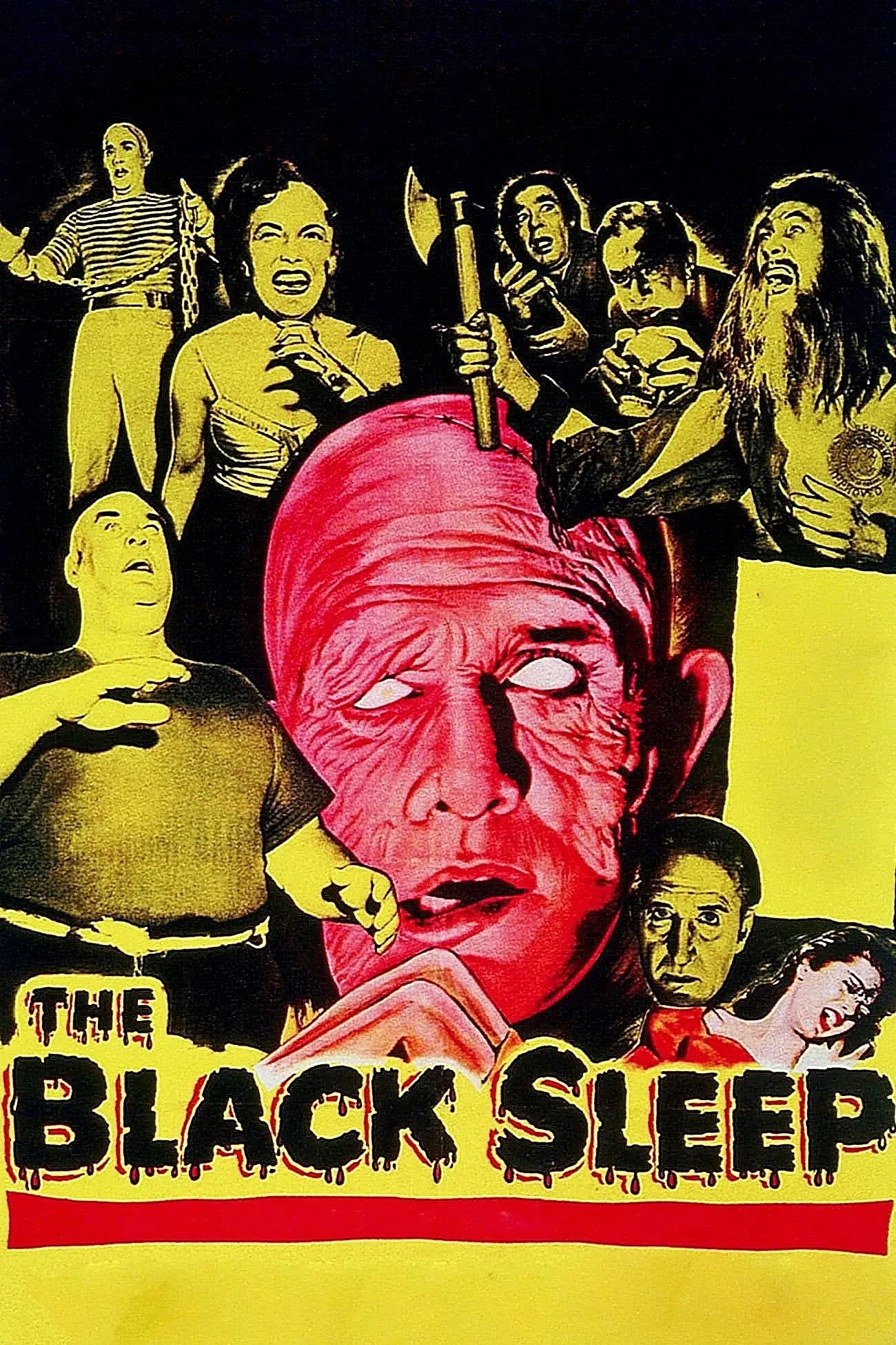 Poster of the movie The Black Sleep