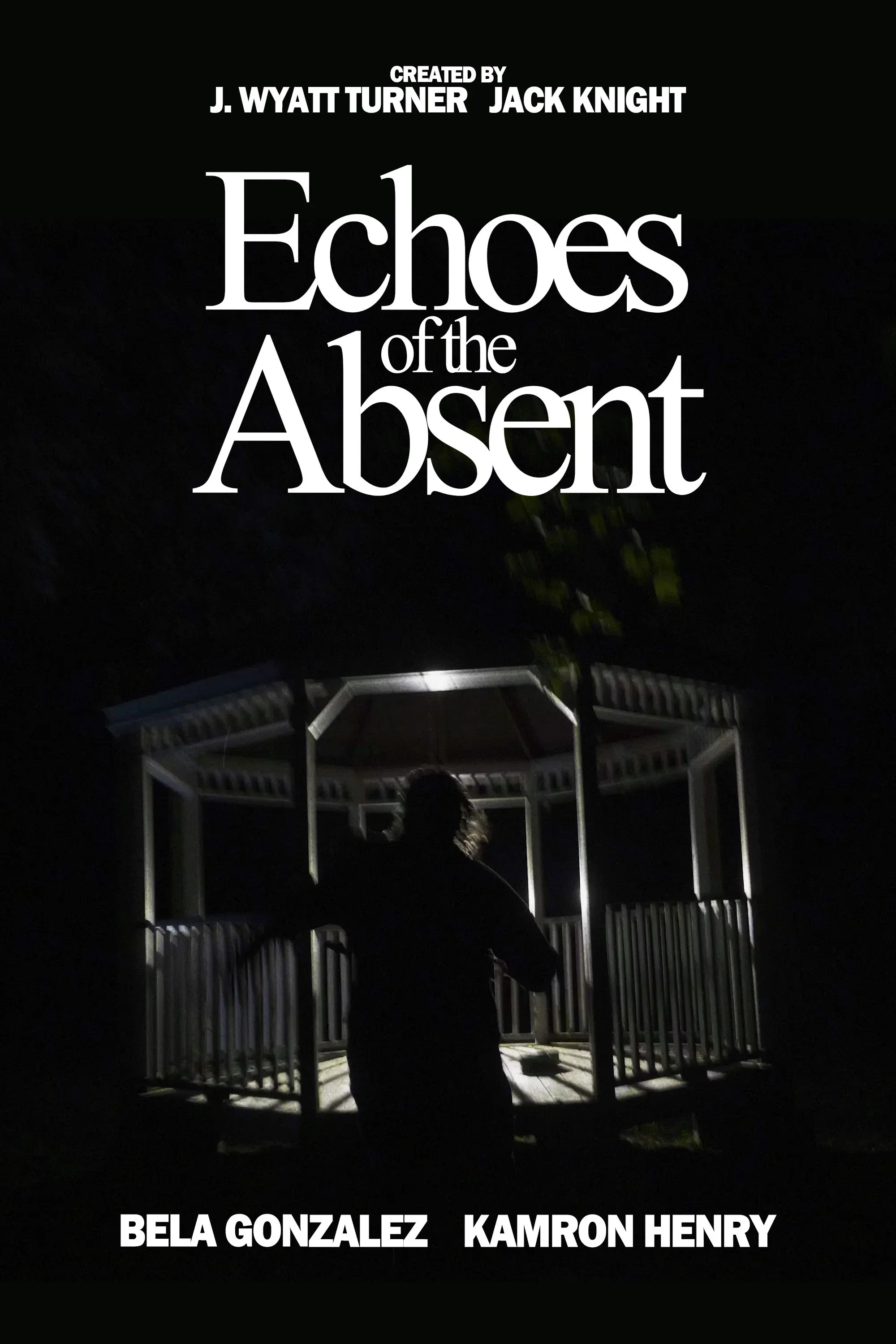 Poster for Echoes of the Absent