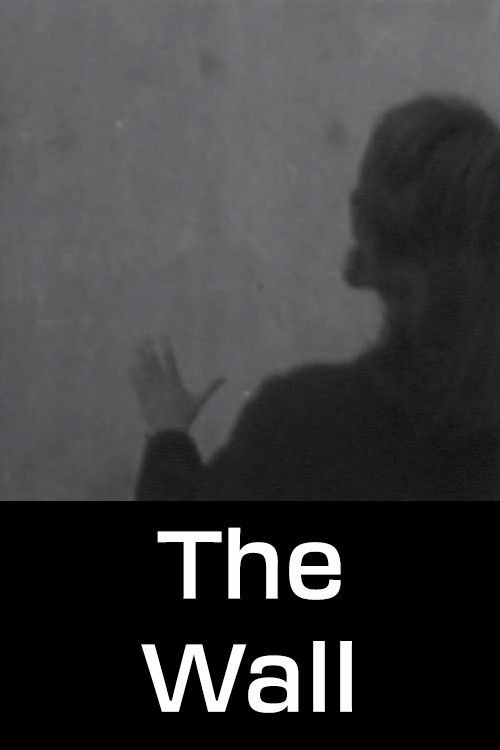 Poster of the movie The Wall
