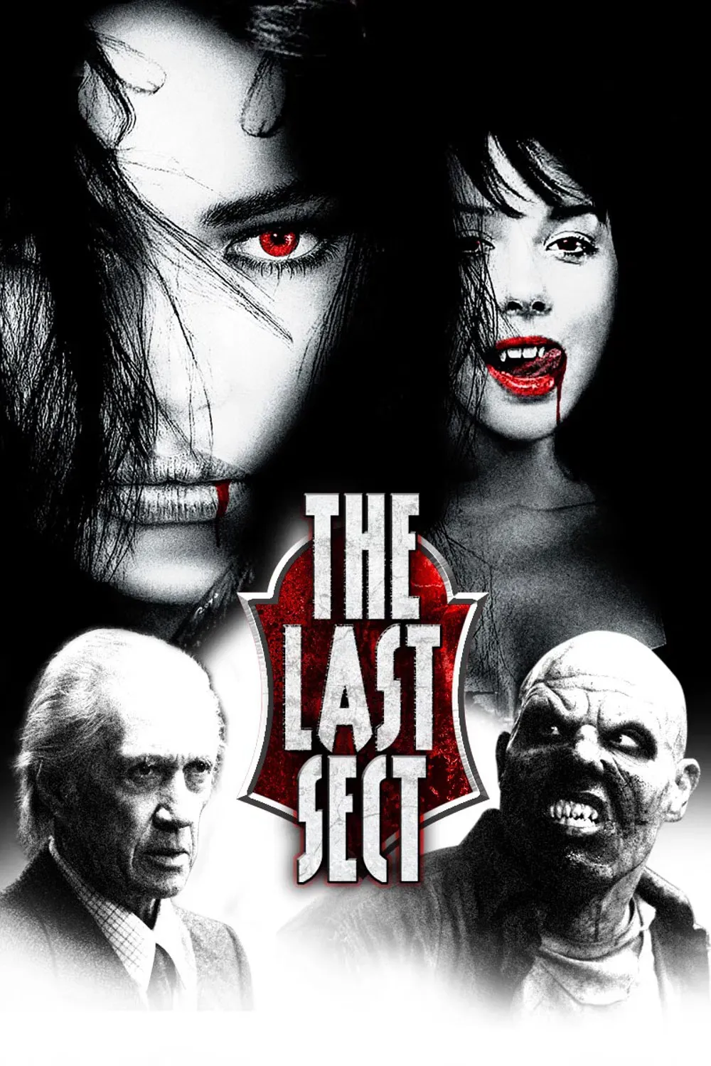 Poster of the movie The Last Sect