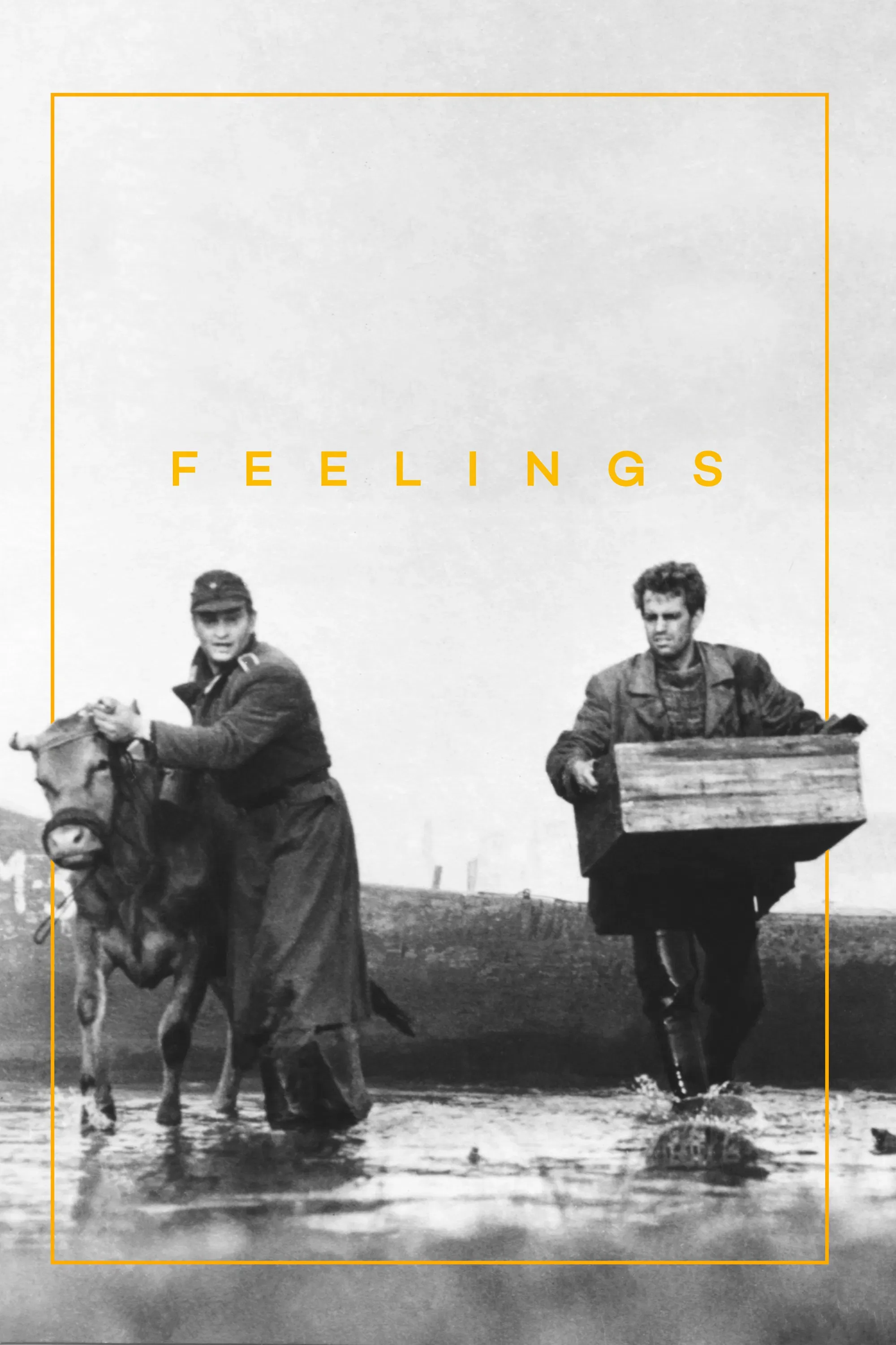 Poster of the movie Feelings