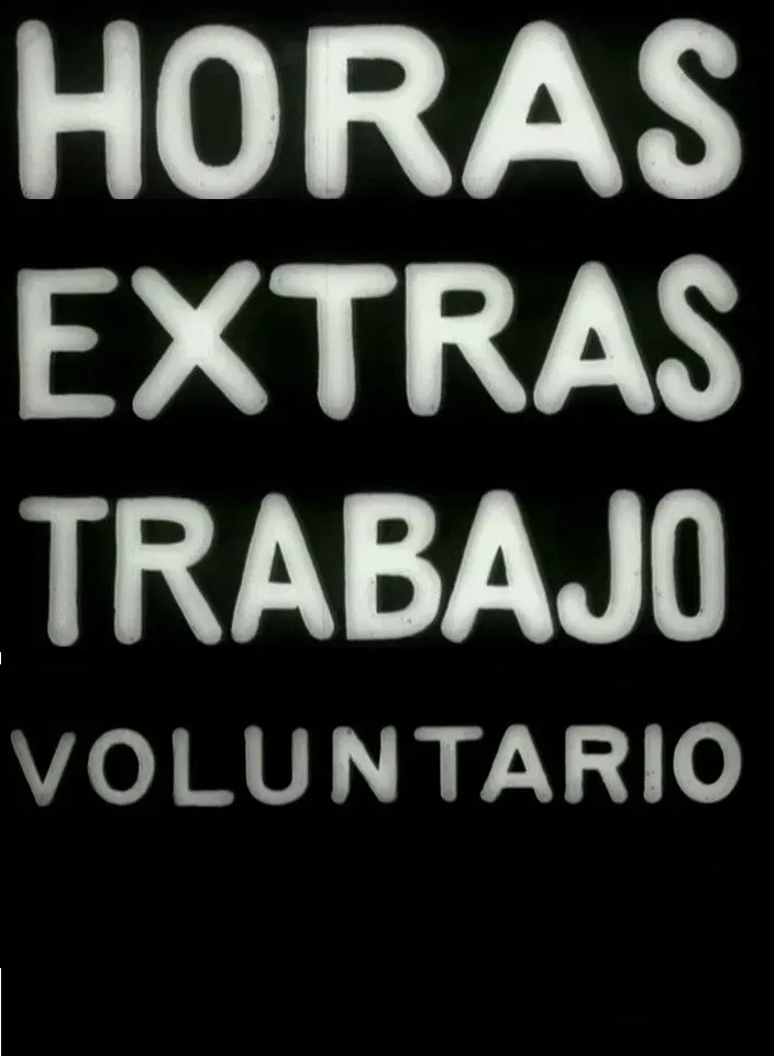 Poster of the movie About Extra Hours and Volunteer Work