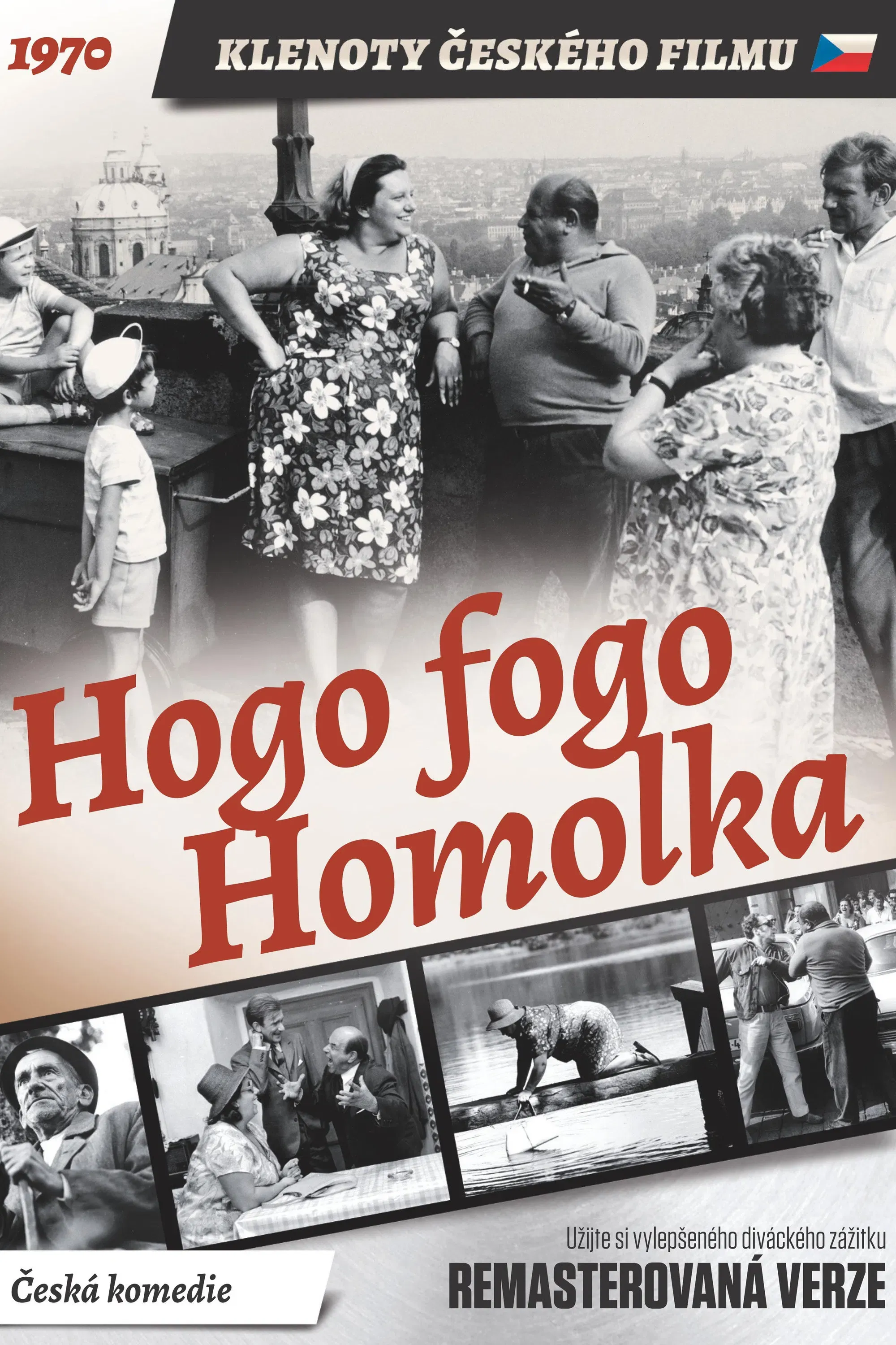 Poster of the movie Hogo Fogo Homolka