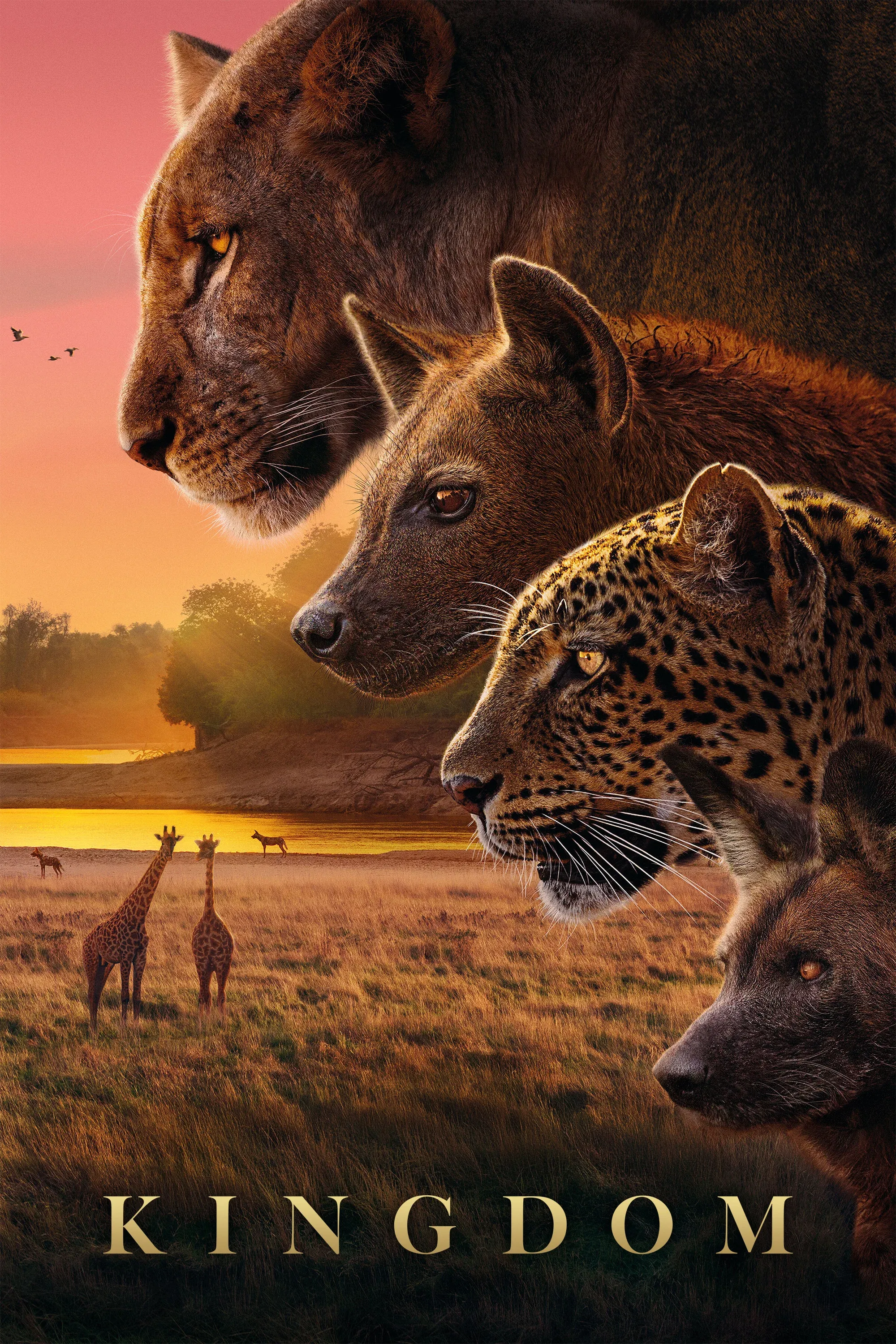 Poster of Kingdom