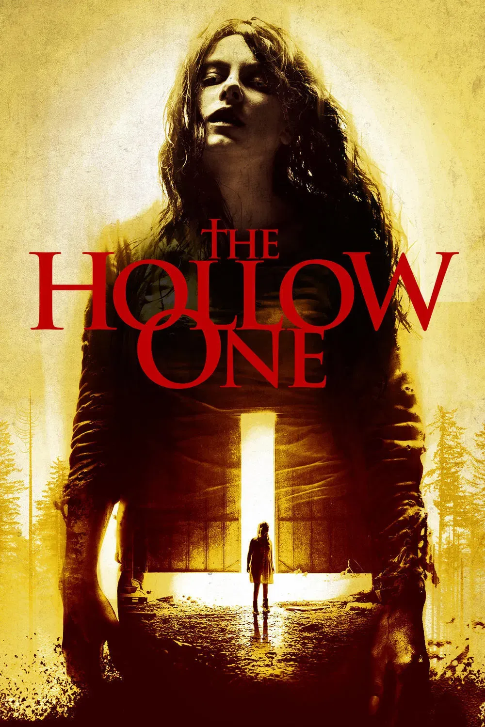Poster of the movie The Hollow One