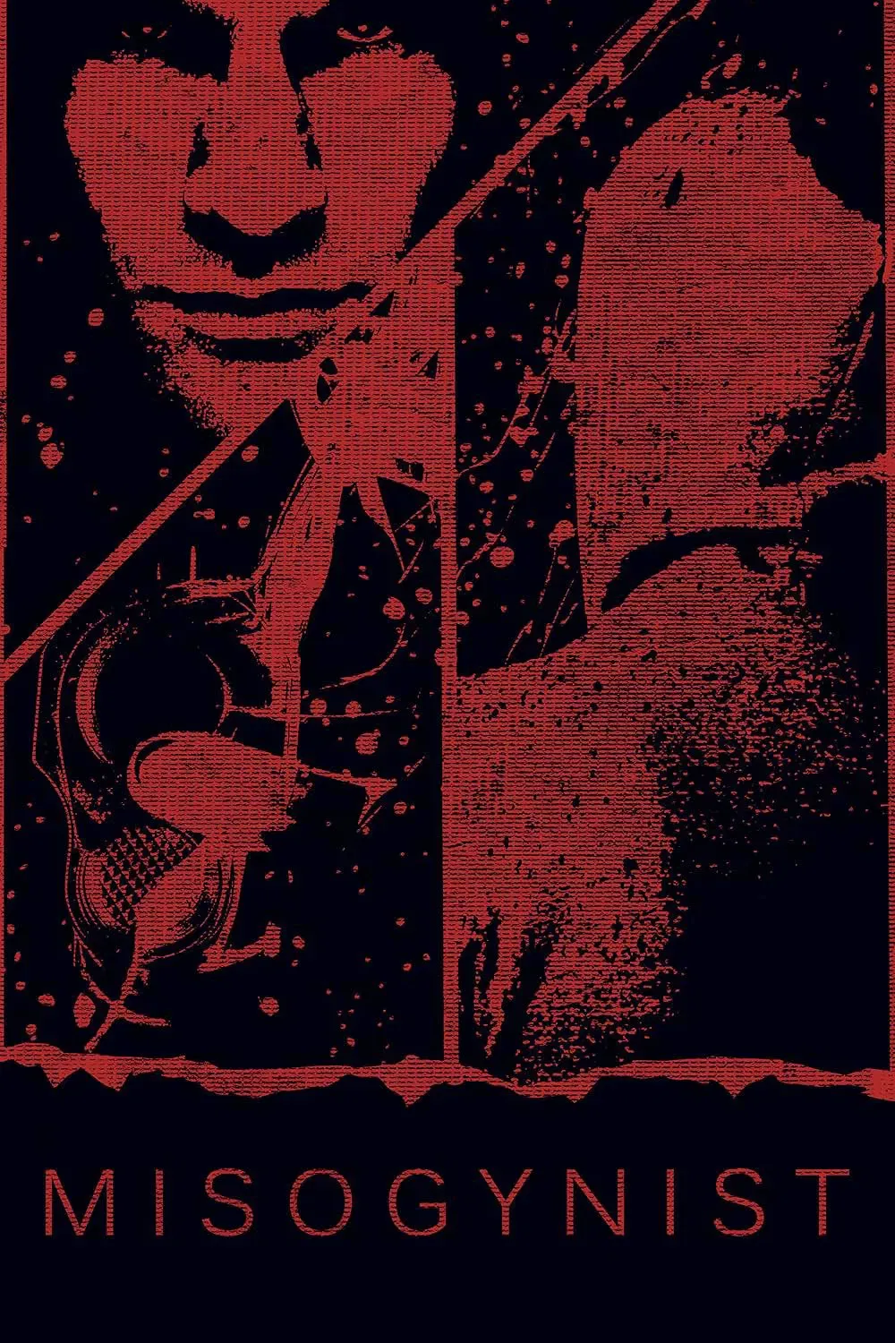 Poster of the movie Misogynist