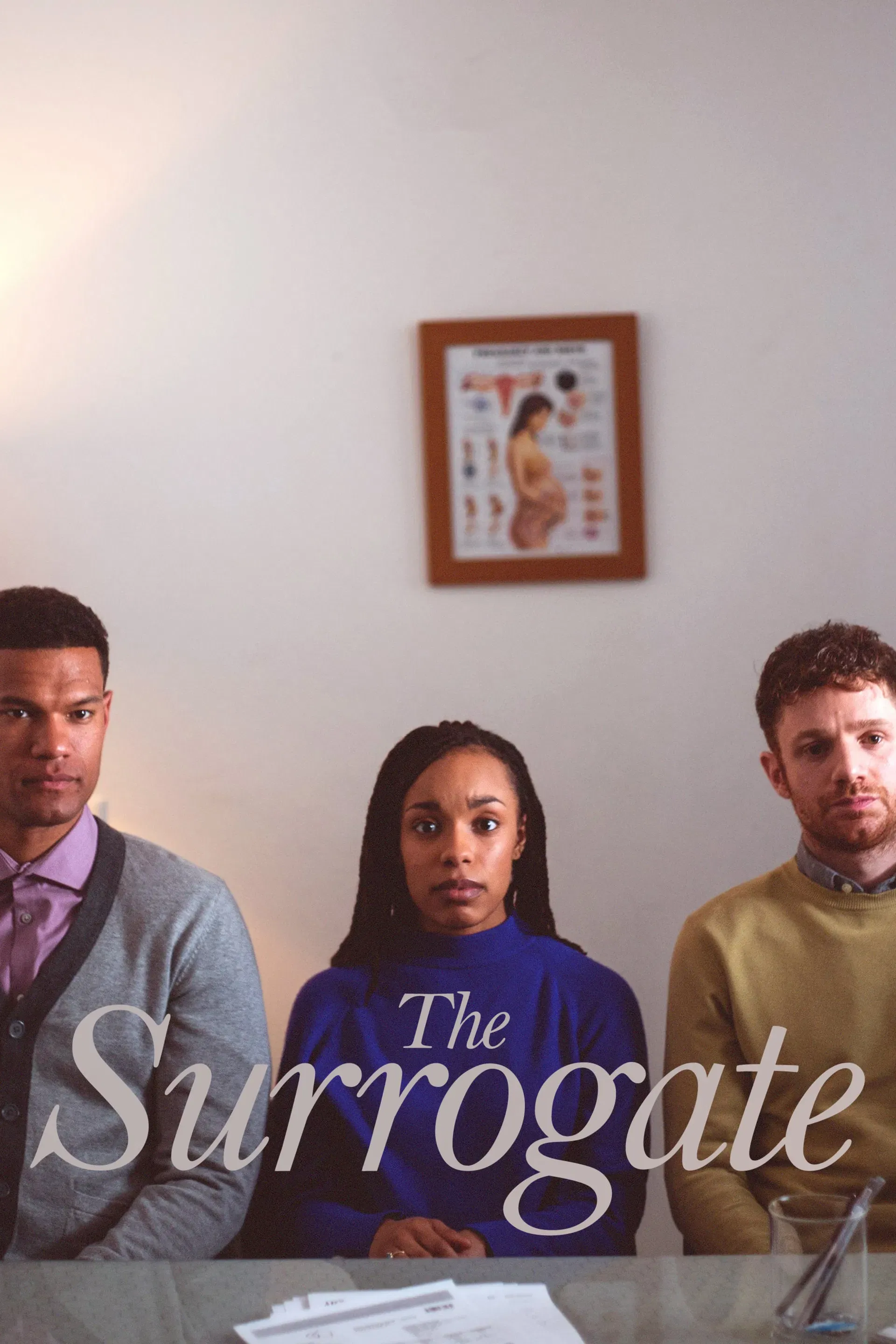 Poster of the movie The Surrogate