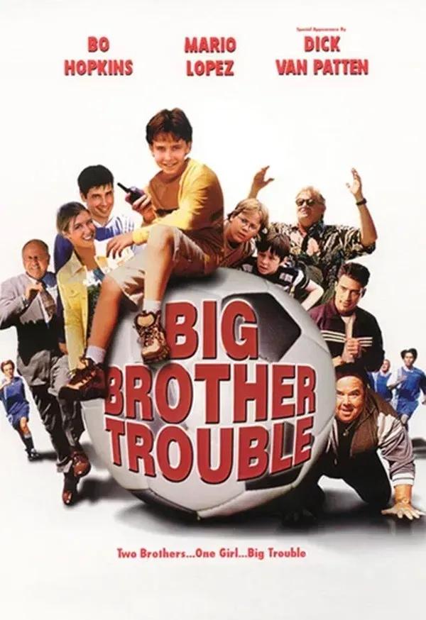 Poster of the movie Big Brother Trouble
