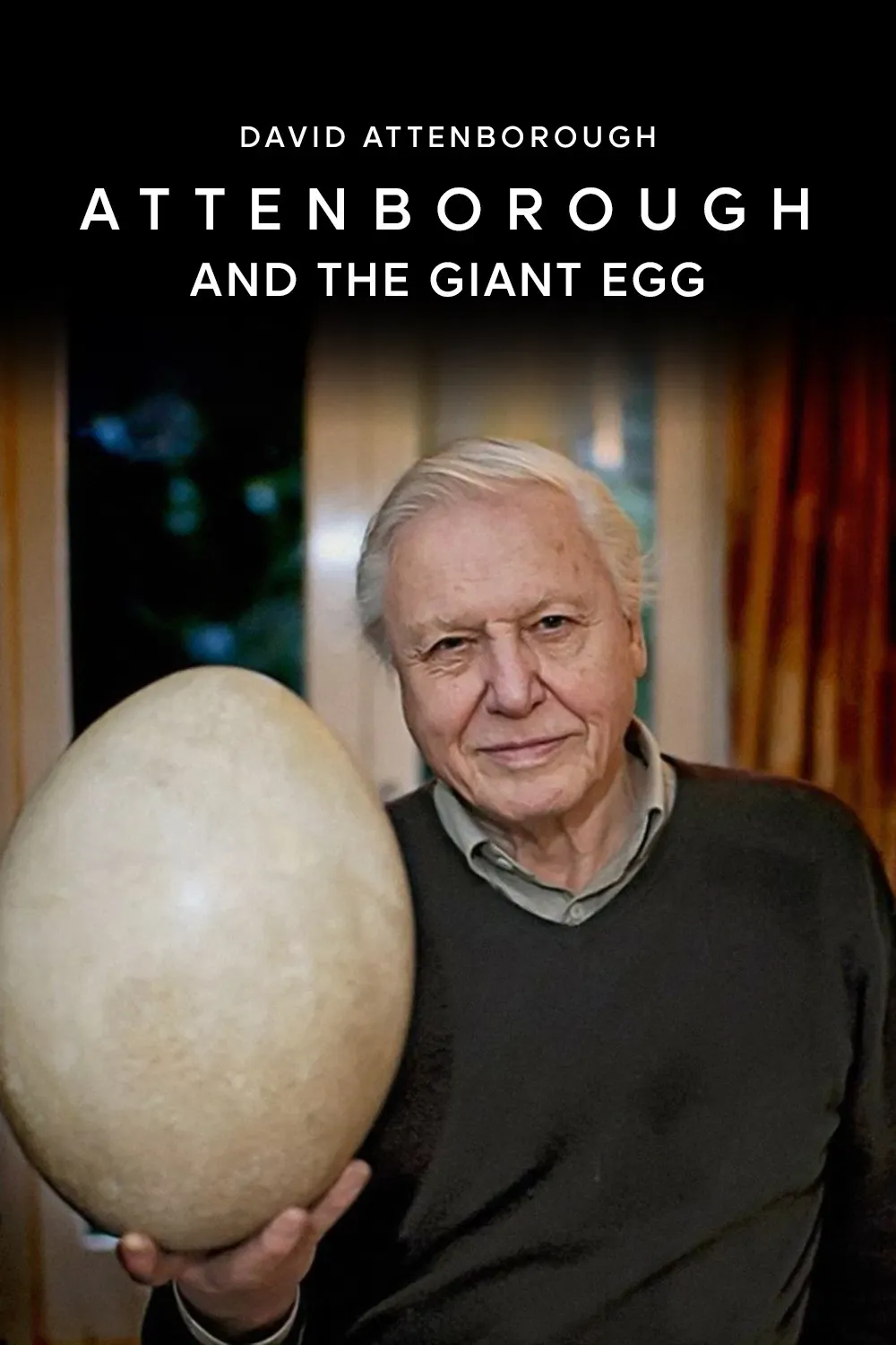 Poster of the movie Attenborough and the Giant Egg