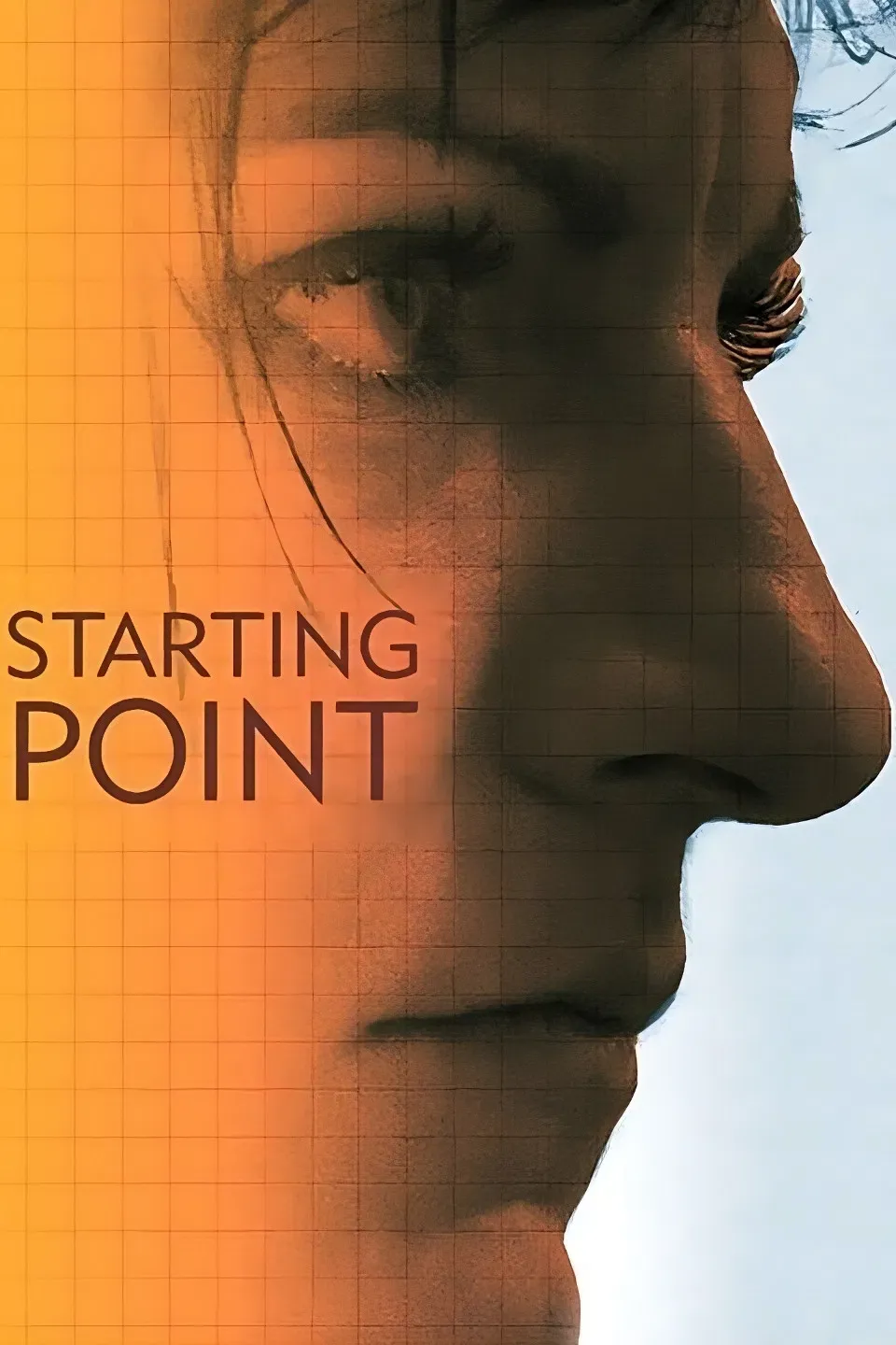 Poster of the movie Starting Point