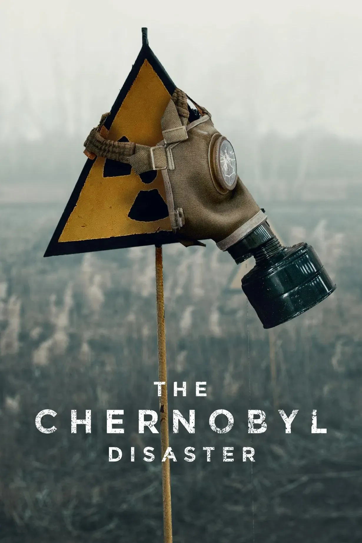 Poster of The Chornobyl Disaster