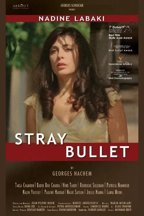 Poster of the movie Stray Bullet