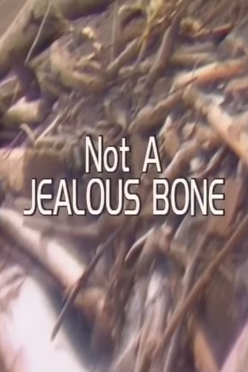 Poster of the movie Not a Jealous Bone