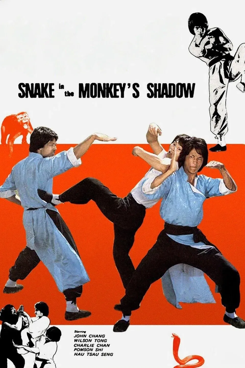 Poster of the movie Snake in the Monkey's Shadow