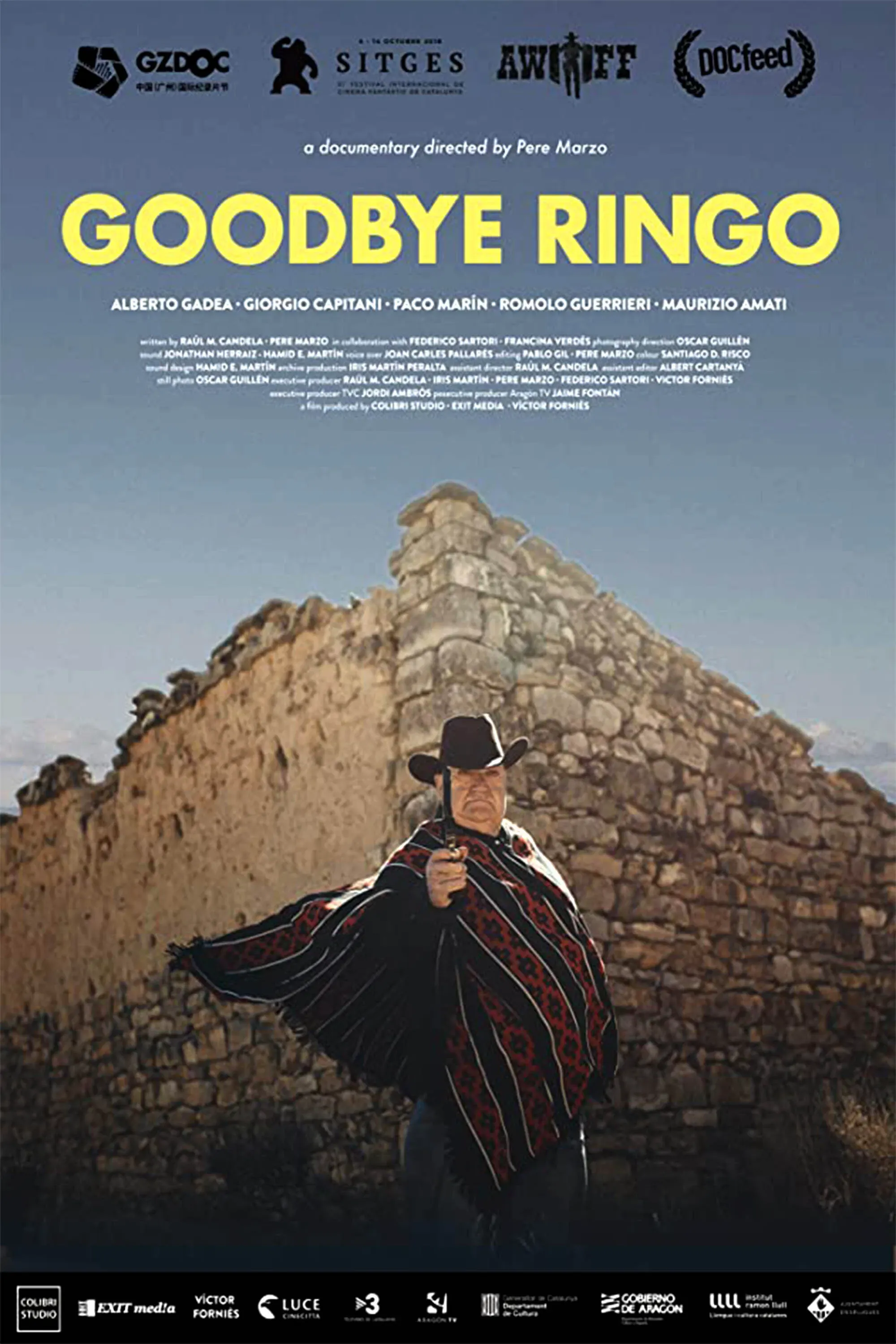 Poster for Goodbye Ringo