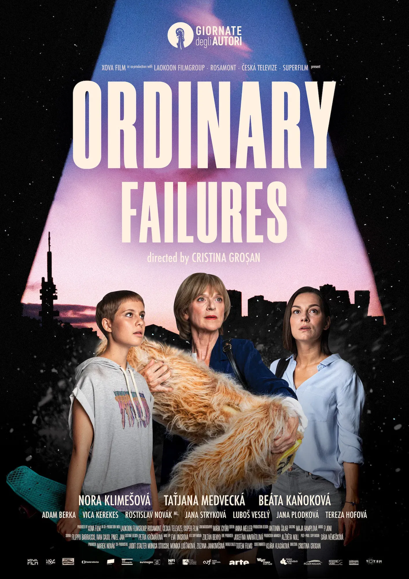 Poster of the movie Ordinary Failures