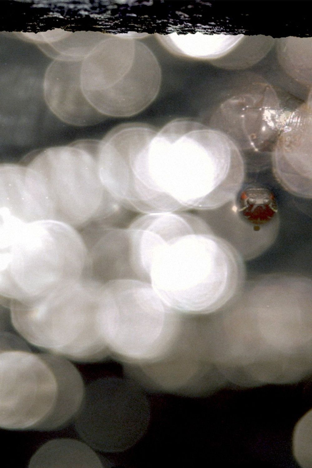 Poster of the movie It Has Already Been Ended Before You Can See the End