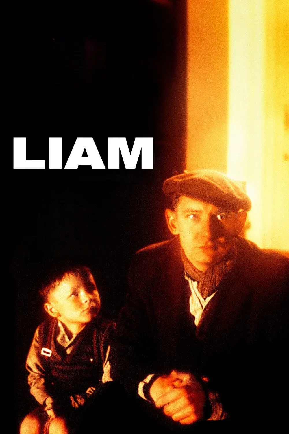Poster of the movie Liam