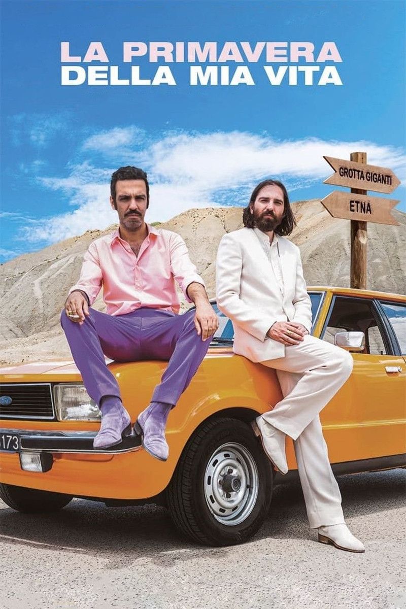 Poster of the movie La primavera della mia vita