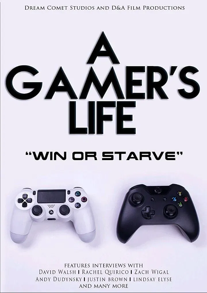 Poster of the movie A Gamer's Life