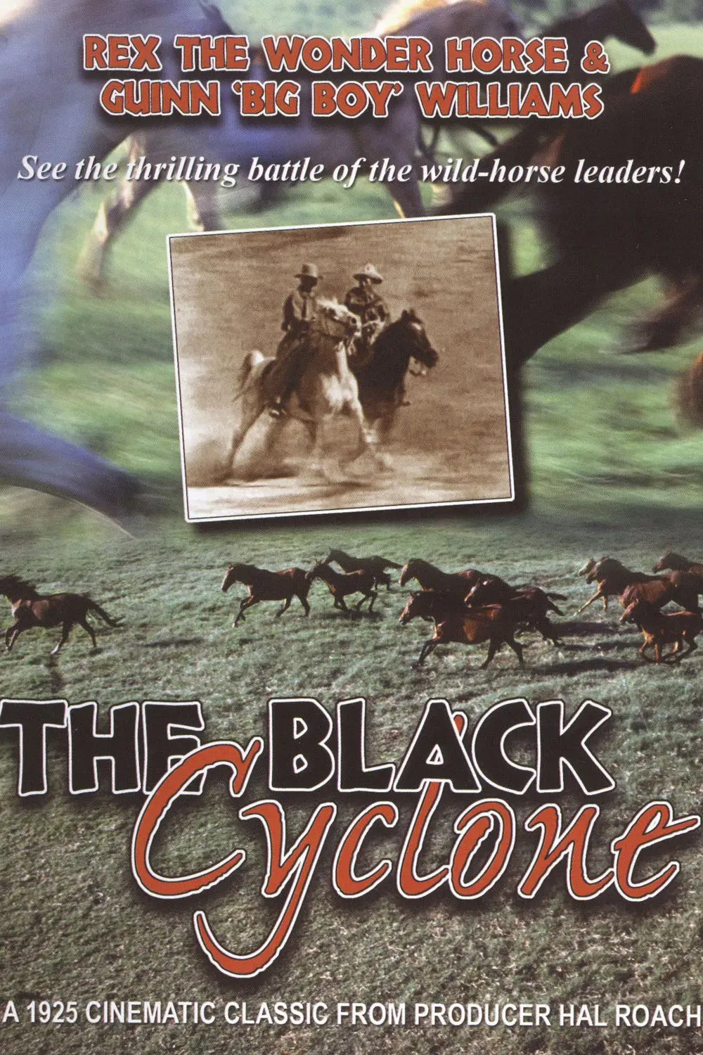 Poster of the movie The Black Cyclone