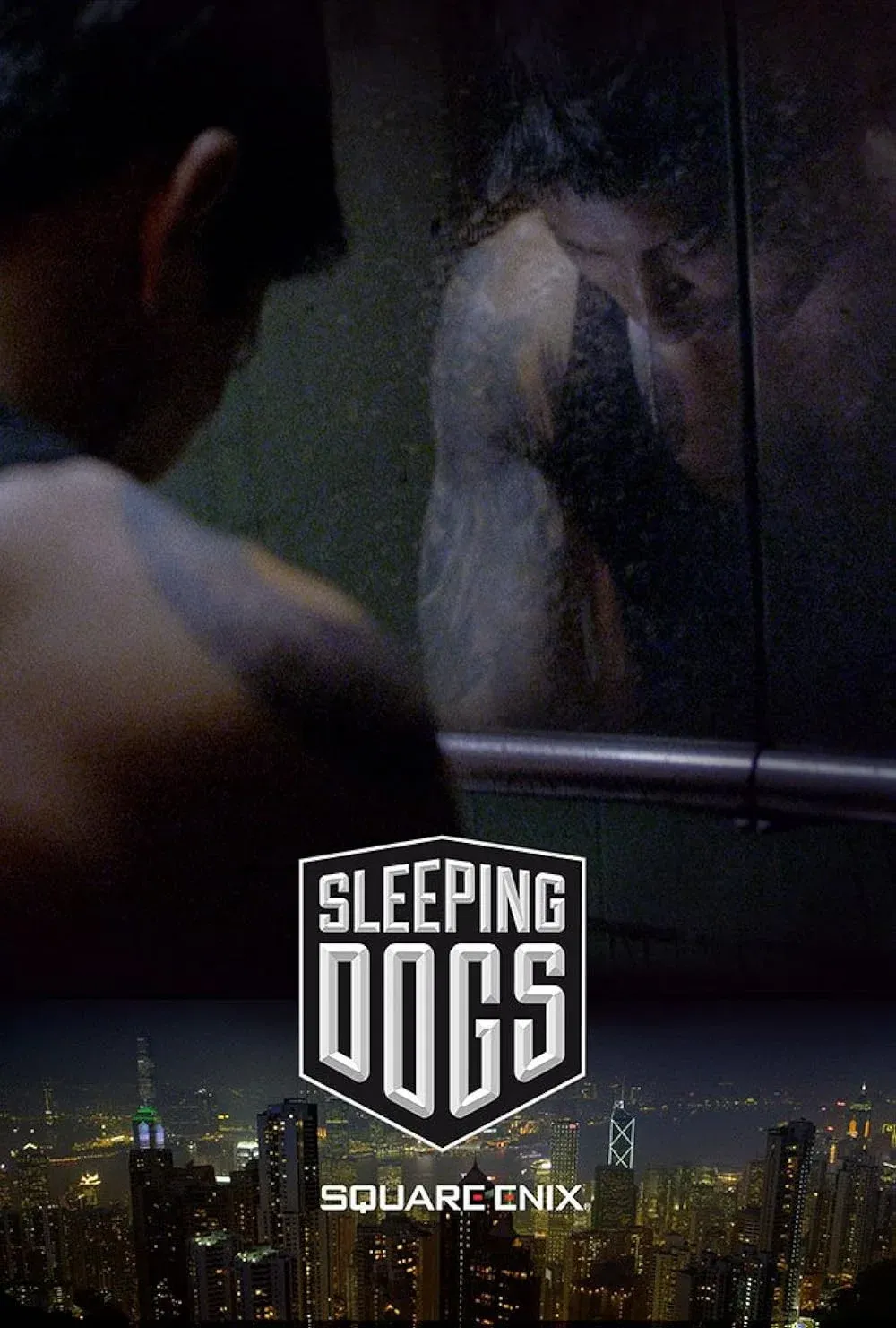 Poster for Sleeping Dogs