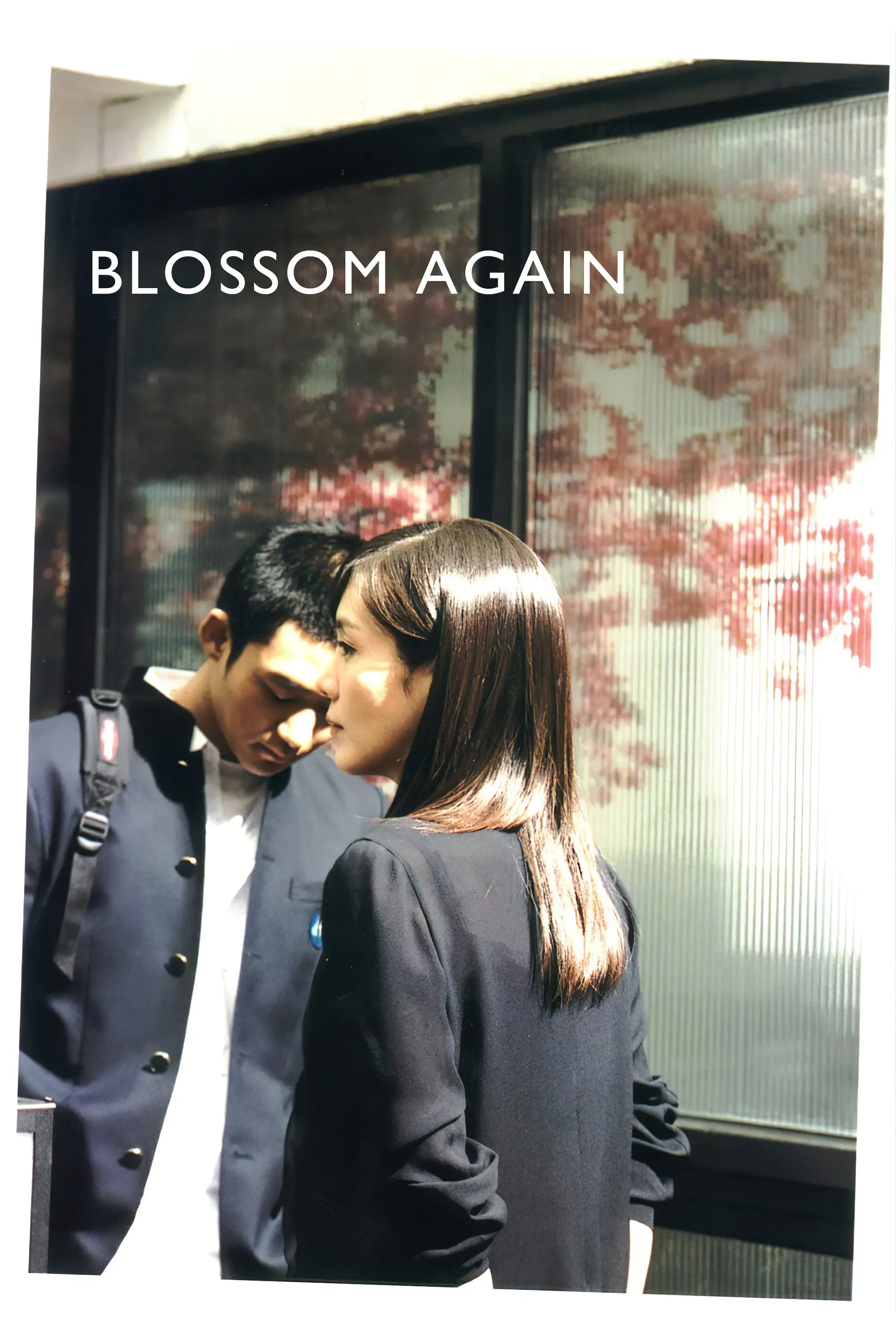 Poster of the movie Blossom Again