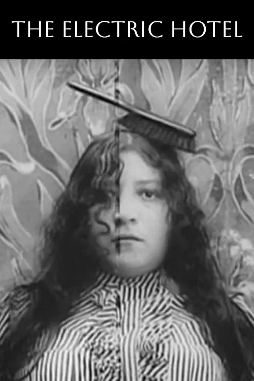 Poster of the movie The Electric Hotel