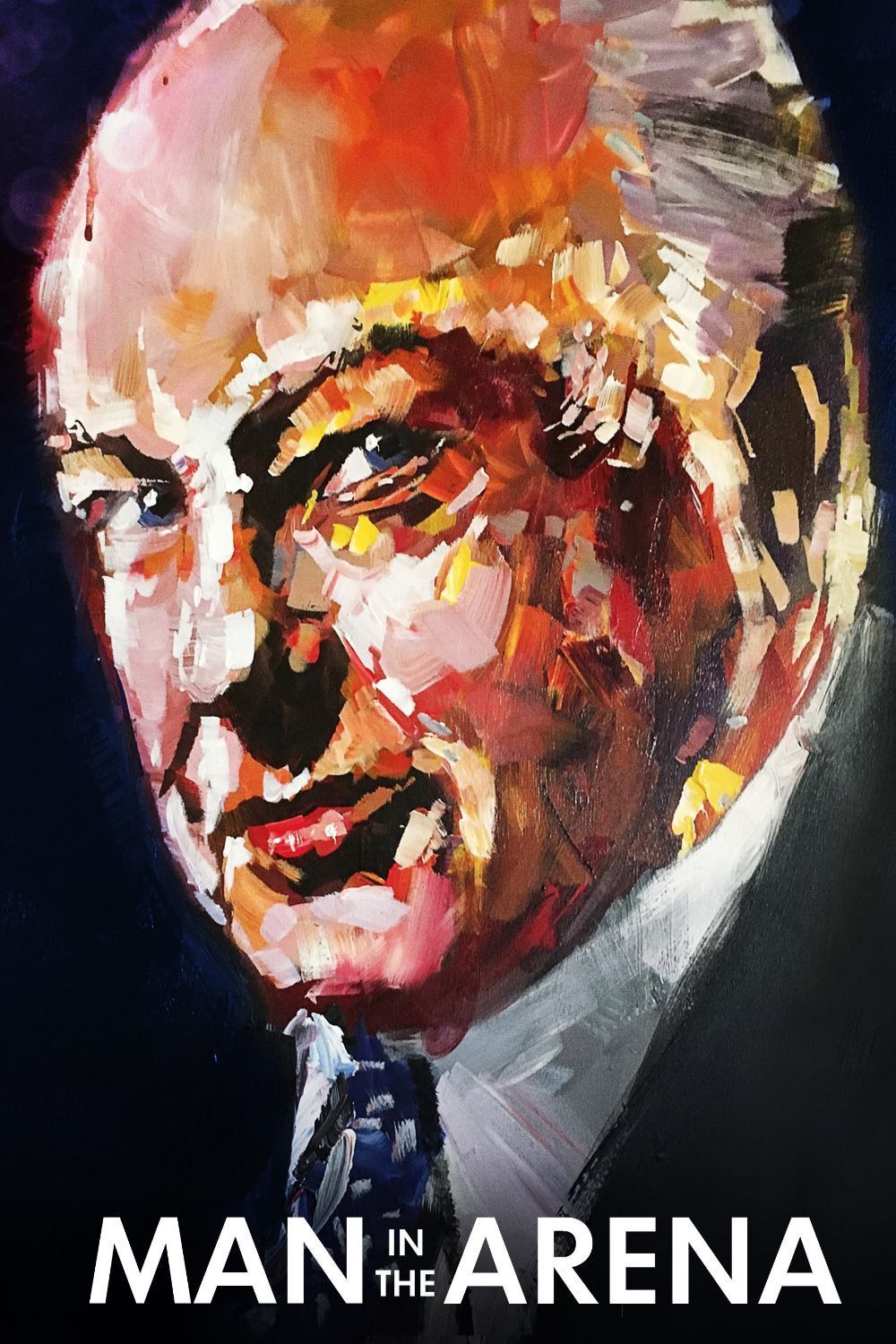 Poster of the movie Man In The Arena