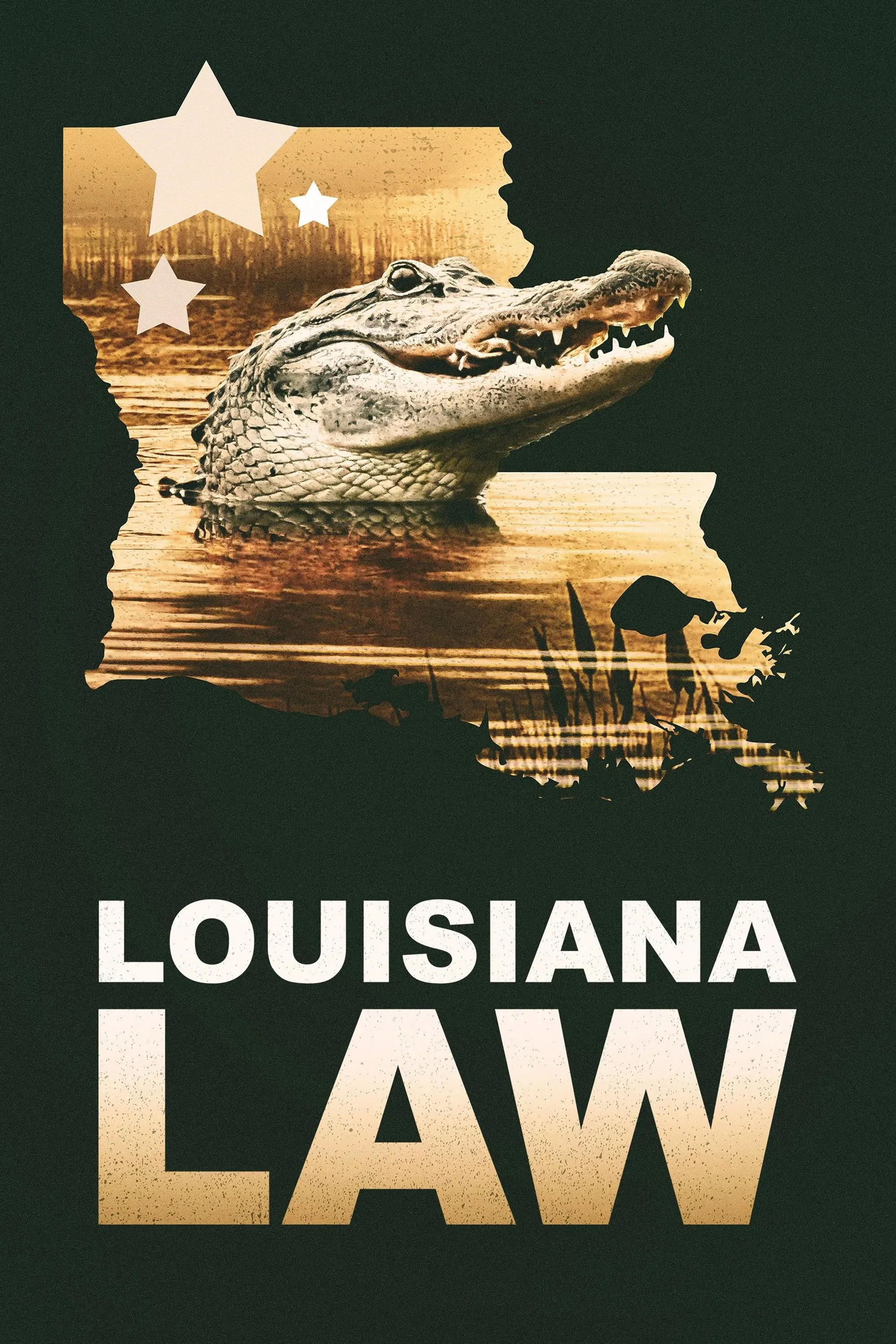 Poster of Louisiana Law