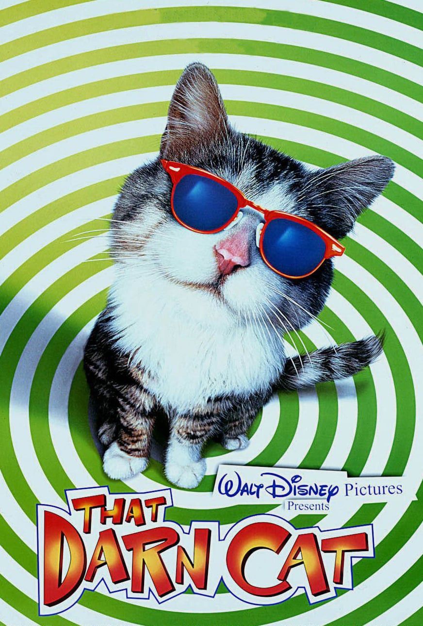 Poster of the movie That Darn Cat