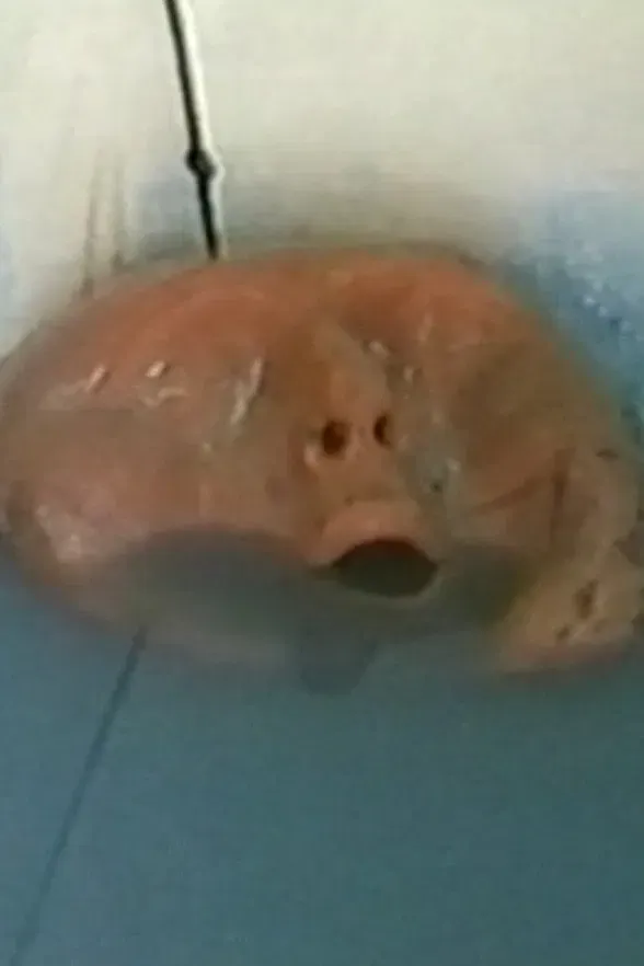 Poster of the movie Blue Bath