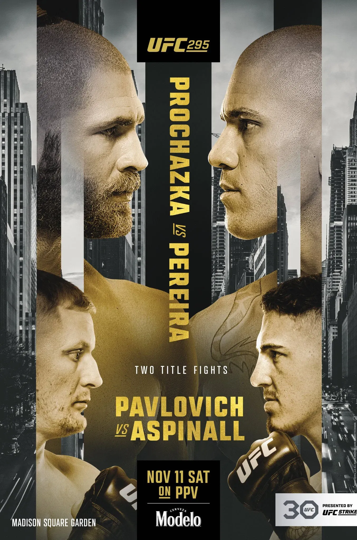 Poster of the movie UFC 295: Prochazka vs. Pereira