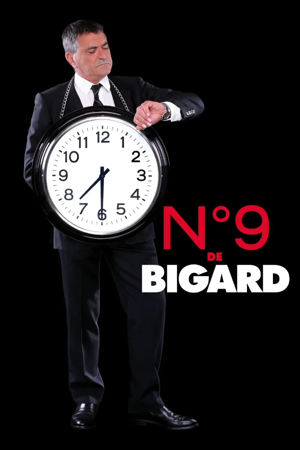 Poster of the movie Bigard - N°9