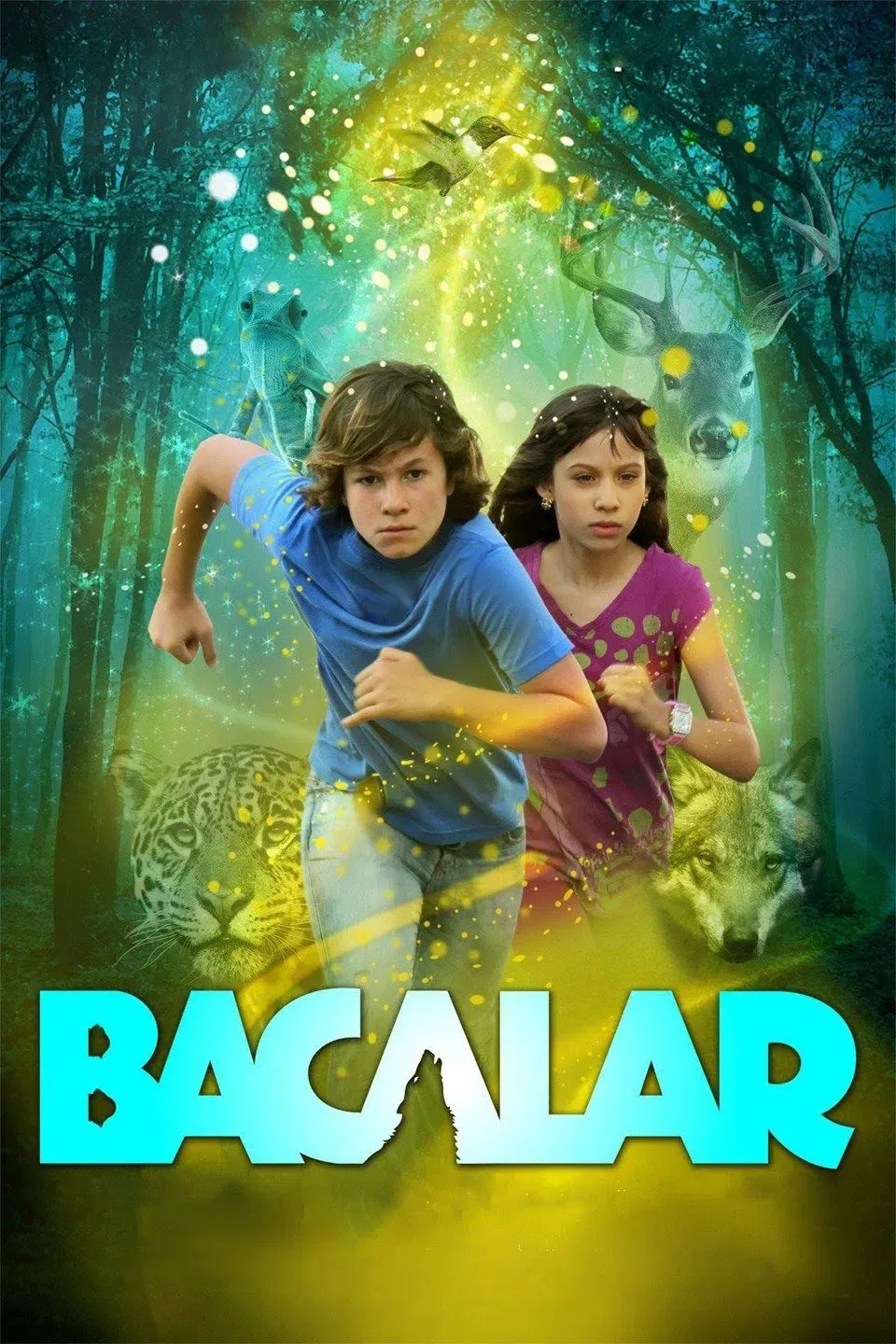 Poster of the movie Bacalar