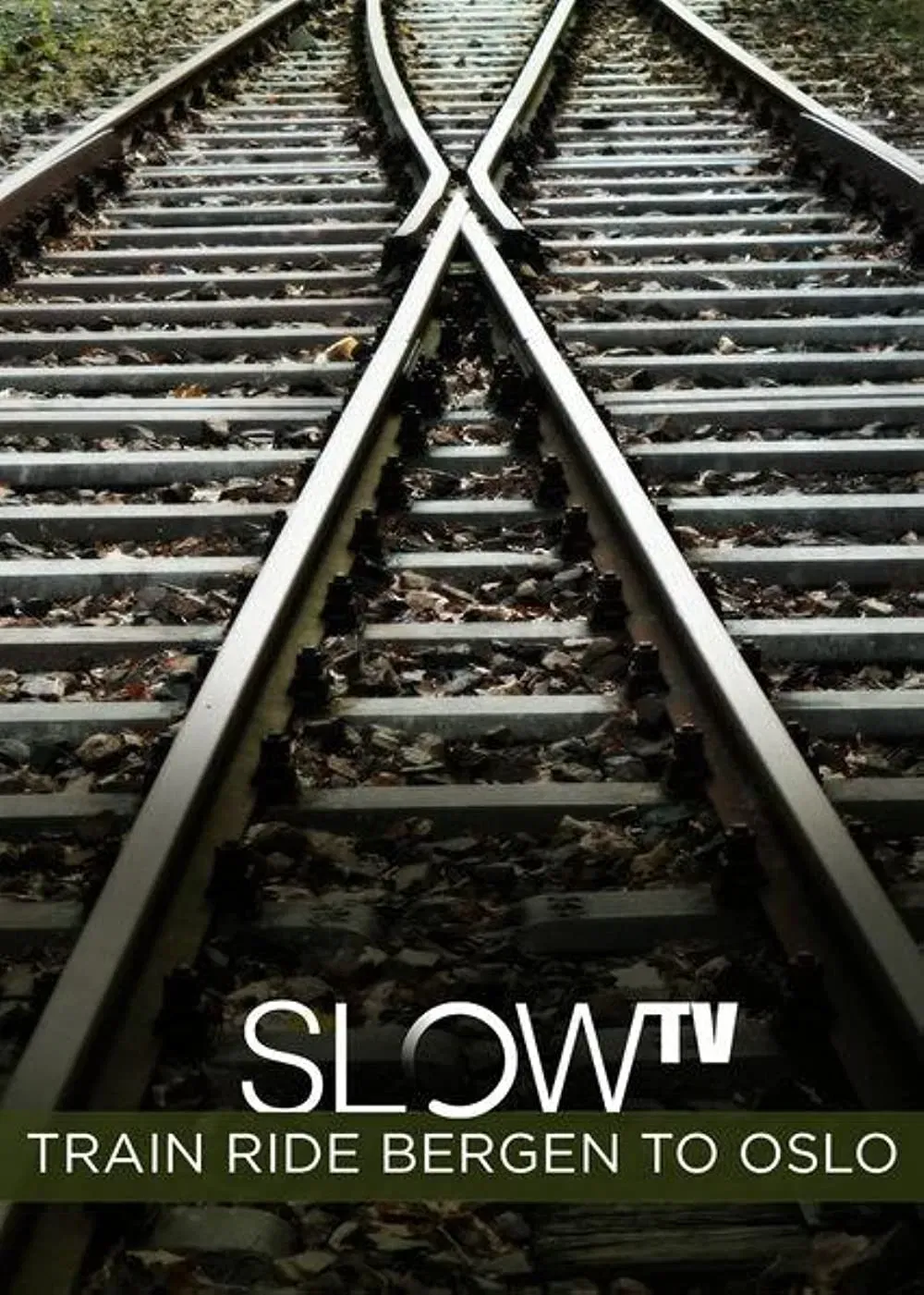 Poster of the movie Slow TV: Train Ride Bergen to Oslo