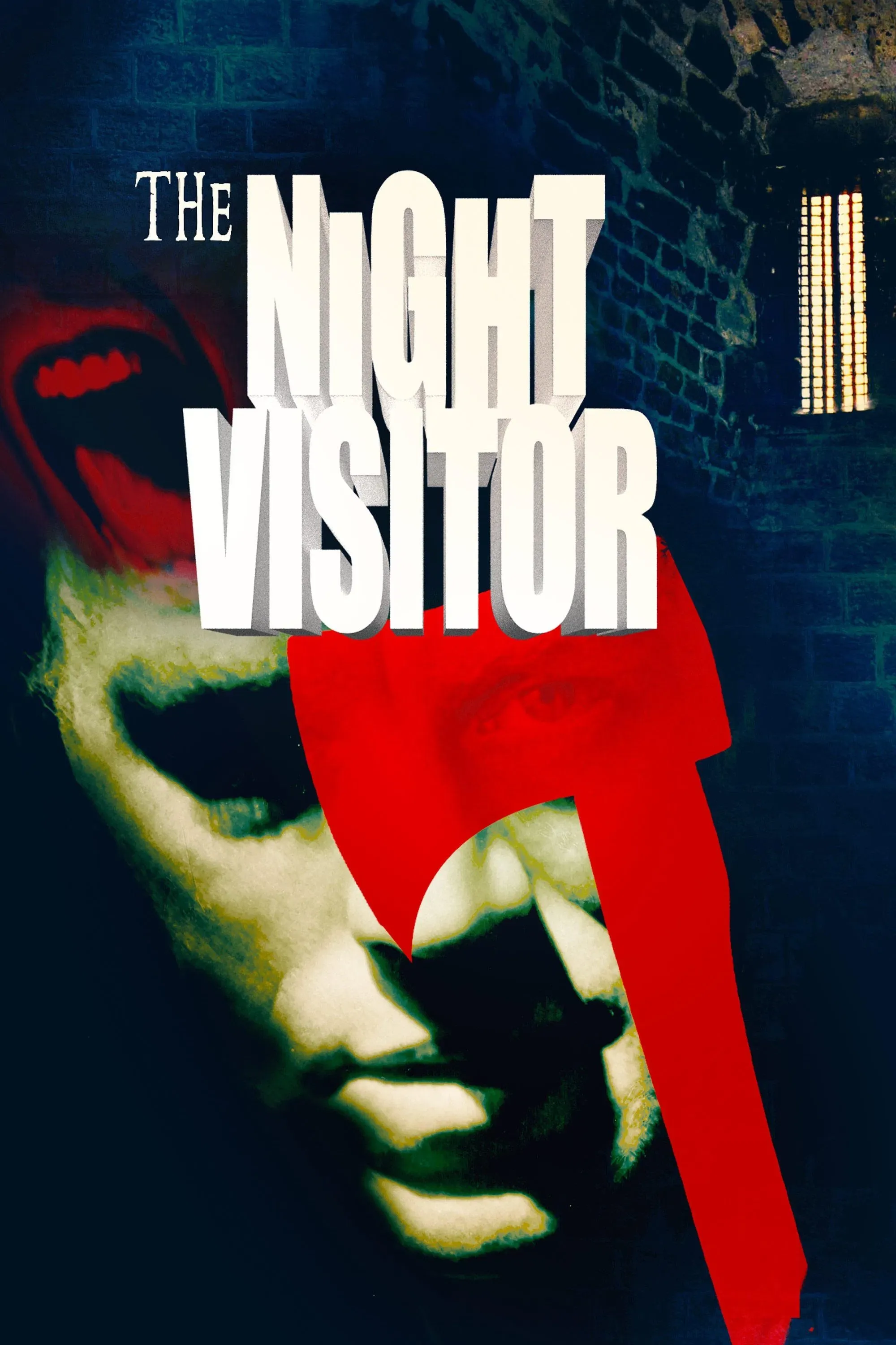 Poster of the movie The Night Visitor