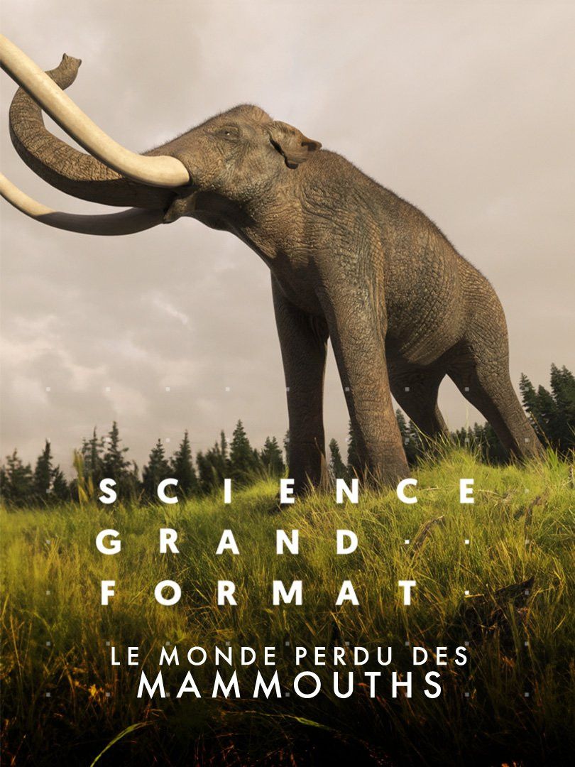 Poster of the movie Le monde perdu des mammouths