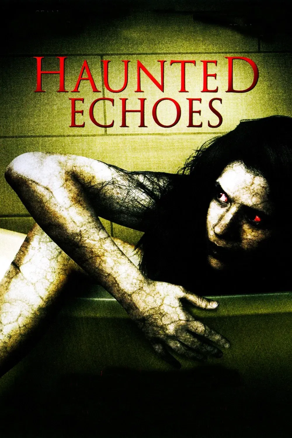 Poster of the movie Haunted Echoes