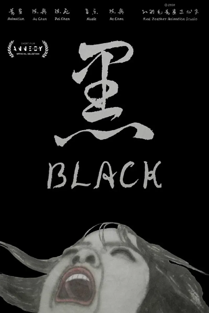 Poster of the movie Black