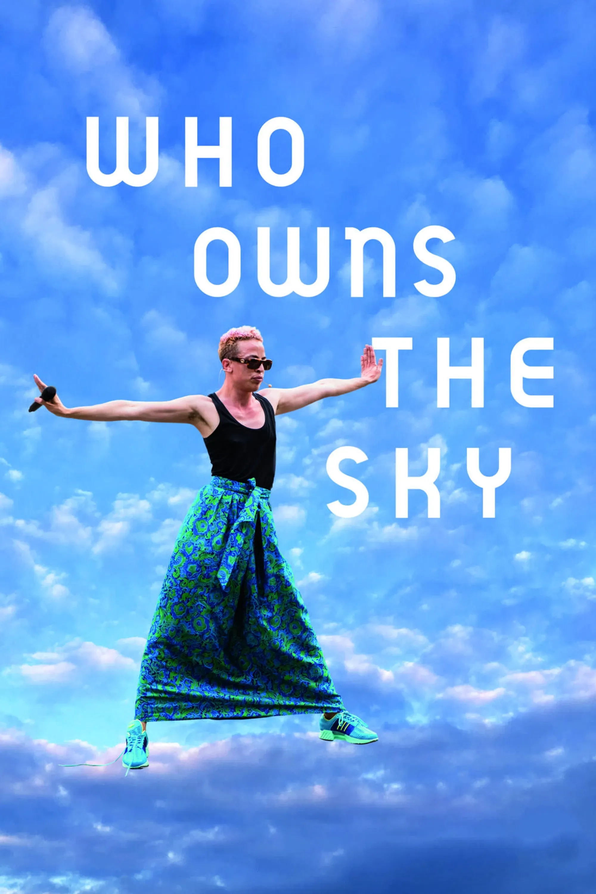 Poster of the movie Who Owns the Sky