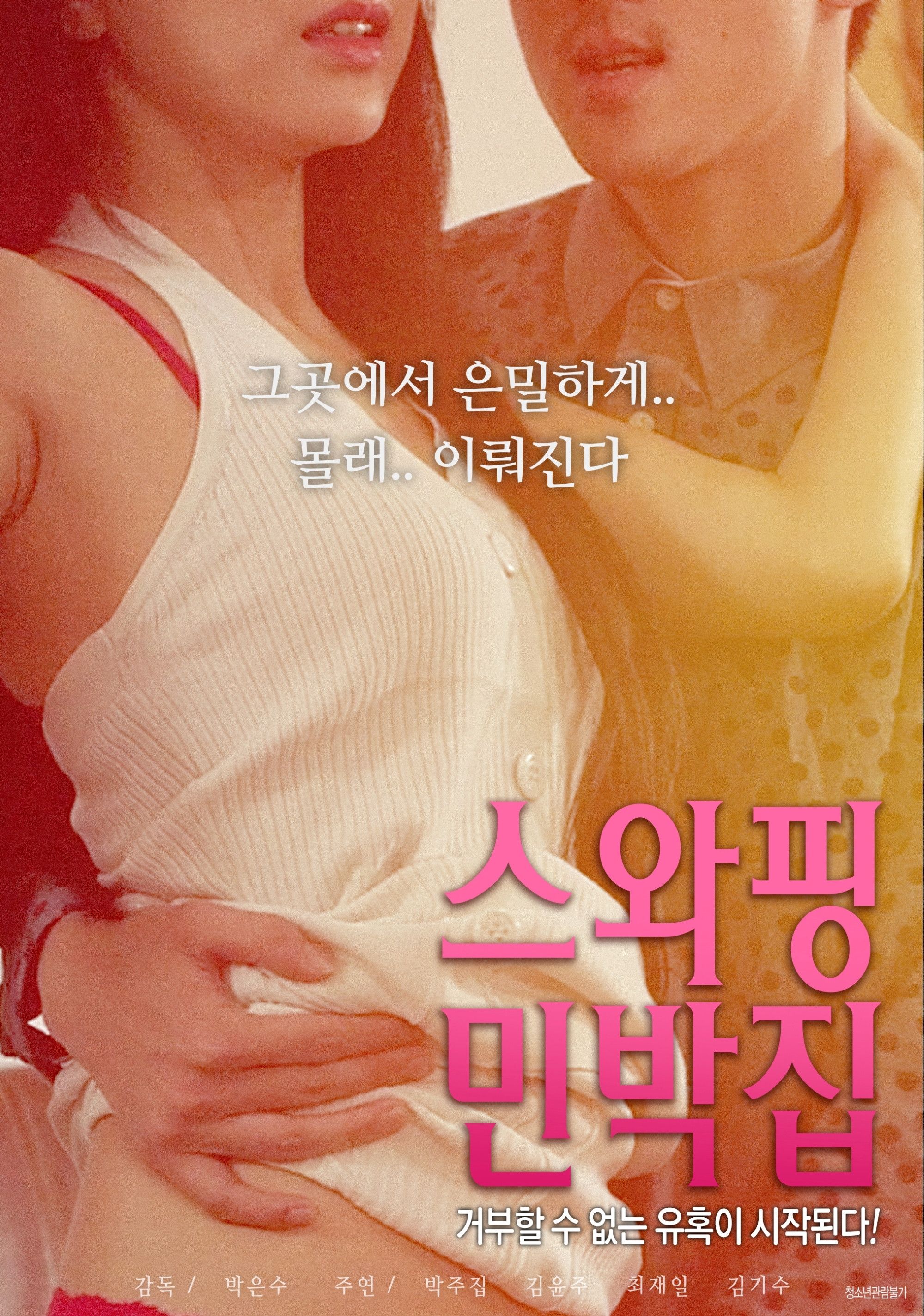 Poster of the movie Swapping Guest House
