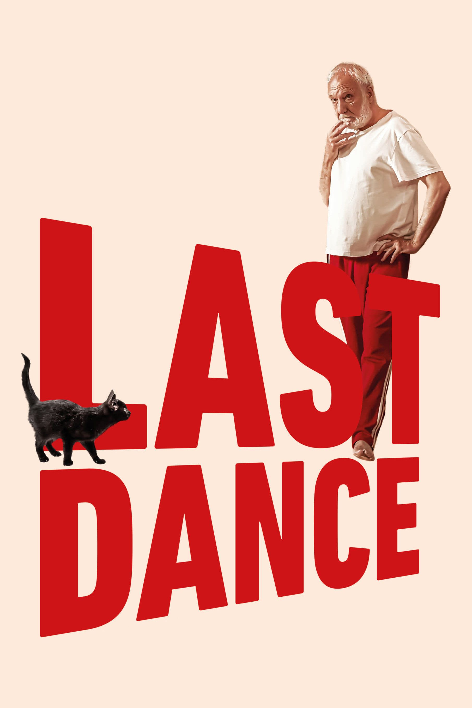 Poster of the movie Last Dance