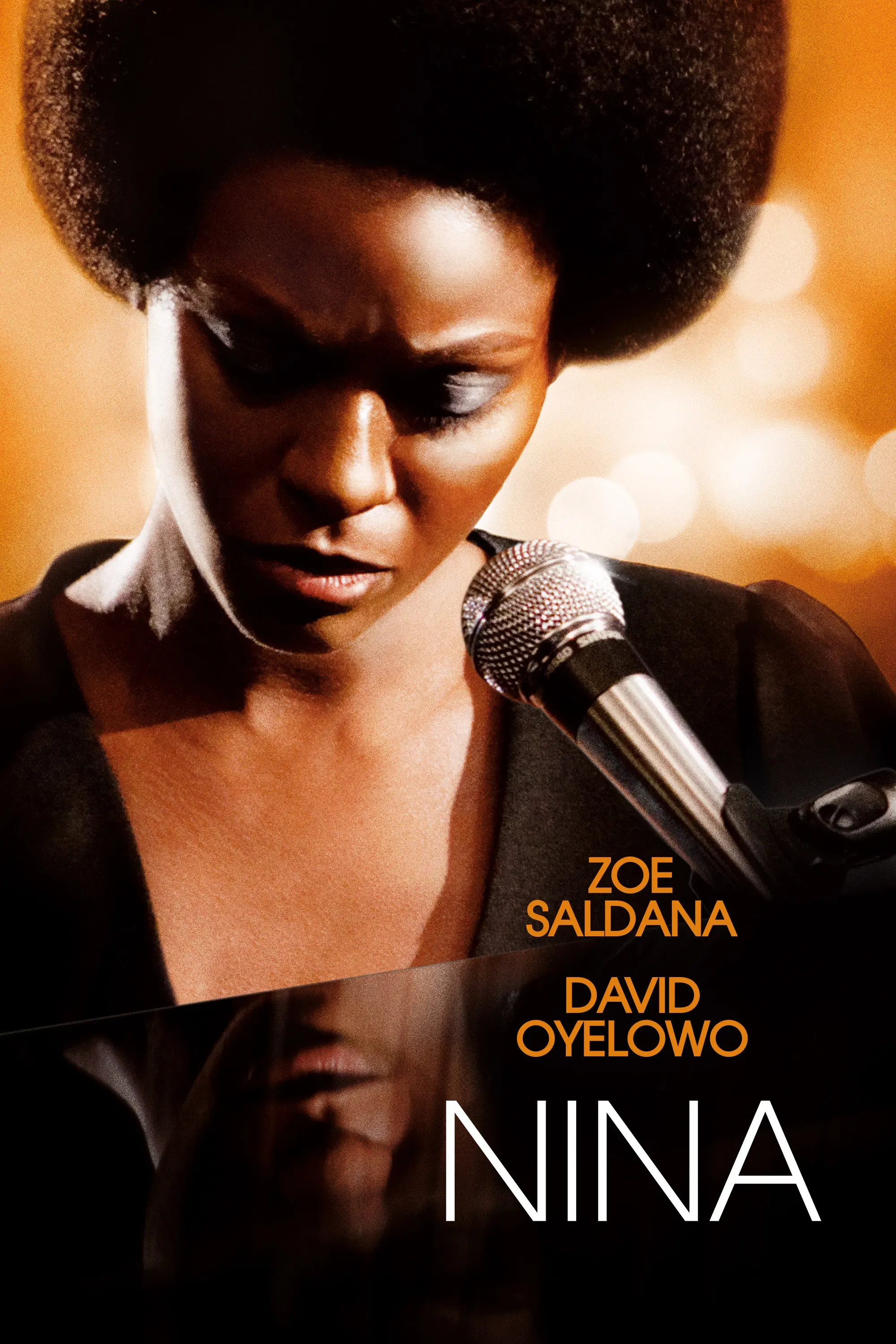 Poster of the movie Nina