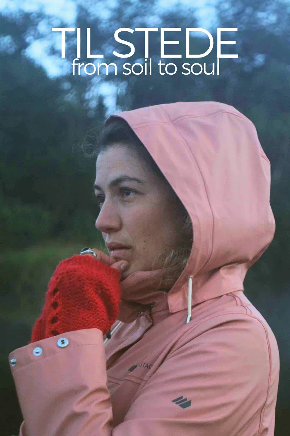 Poster for from soil to soul